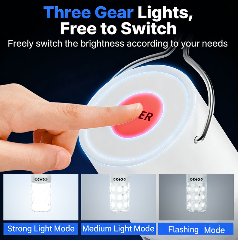 LED Rechargeable Camping Lante - Power Outage Light 评论和价格
