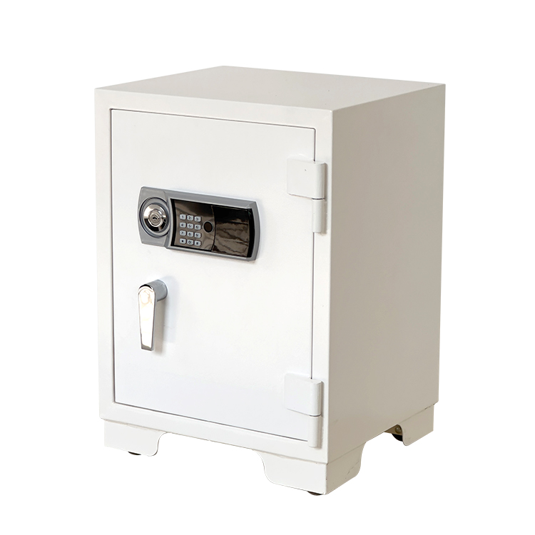 Bank Home Office Deposit Secur - Fire Safe Document 评论和价格